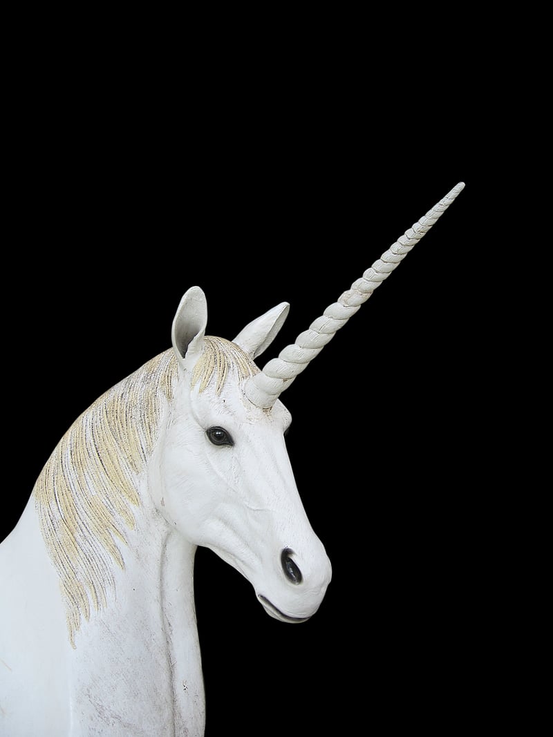 Unicorn Throw Pillows